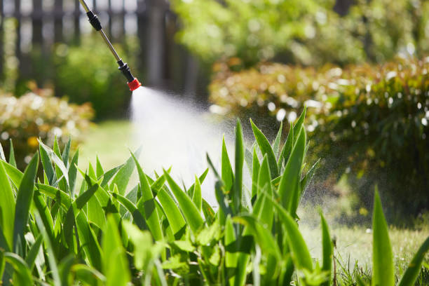 24/7 Emergency Ant Control experts in Rochester, MI