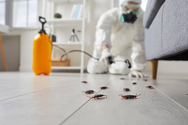 Trusted Termite Control service in Rochester, MI - Nex Pest Control