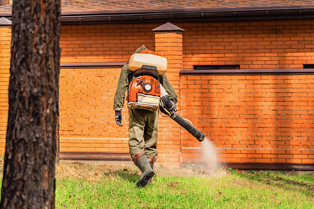 Trusted Emergency Pest Control service in Rochester, MI - Nex Pest Control